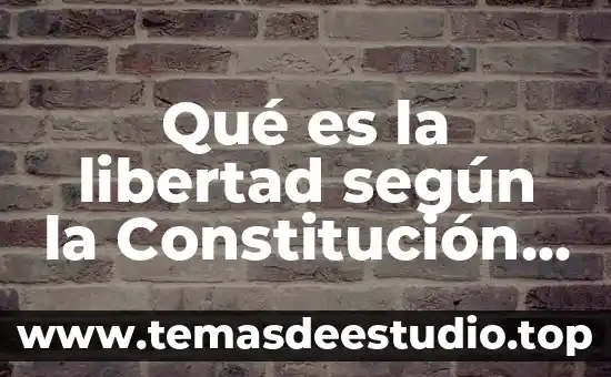 Que es la libertad y que tipos de libertad hay 5 Qué es la libertad según la Constitución Nacional