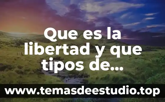 Que es la verdad y libertad explicacion para niños 7 Que es la libertad y que tipos de libertad hay