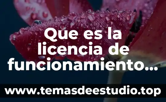 Que es la licencia de funcionamiento zumpango desarrolo economico