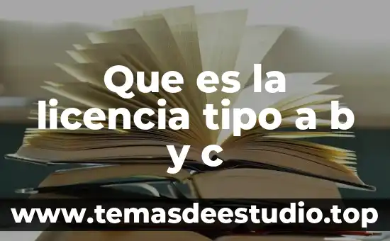 Que es el tipo de arte 8 Que es la licencia tipo a b y c