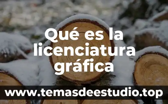Qué es la licenciatura gráfica