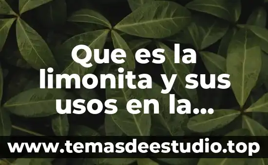 Que es el bienestar colectivo y ejemplos 5 Que es la limonita y sus usos en la industria