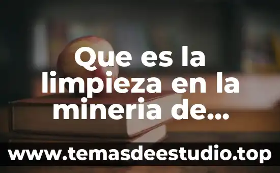 Que es la distribucion de productos de limpieza 8 Que es la limpieza en la mineria de datos