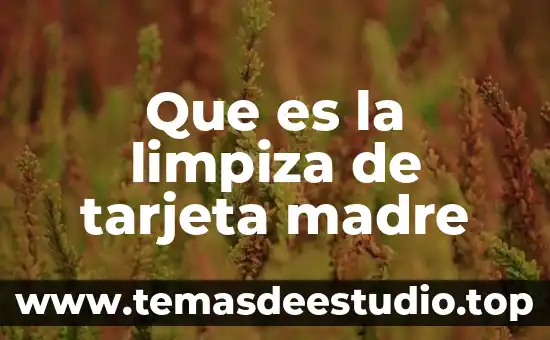 Que es nombre corto de la tarjeta liverpool 5 Que es la limpiza de tarjeta madre