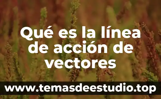 Que es la suma de vectores fisica 3 Qué es la línea de acción de vectores