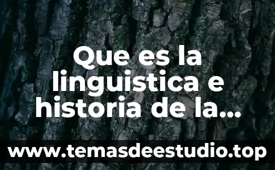 Que es la conciencia y como se desarrolla 4 Que es la linguistica e historia de la lengua