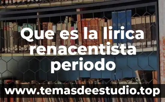 Que es el periodo del pronóstico de produccion 8 Que es la lirica renacentista periodo
