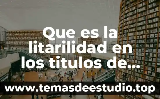 Que es una empresas calificadoras de credito 3 Que es la litarilidad en los titulos de credito