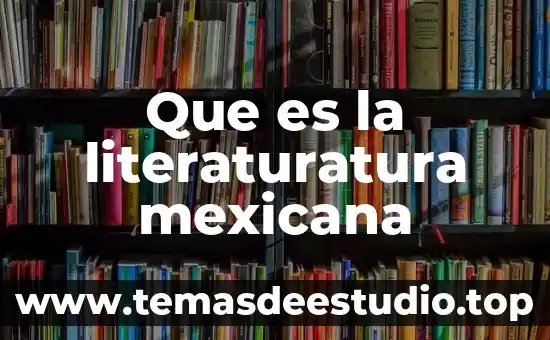 Qué es ser de la derecha en política mexicana 4 Que es la literaturatura mexicana