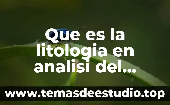 Qué es el estímulo fiscal de IVA 8 Que es la litologia en analisi del suelo