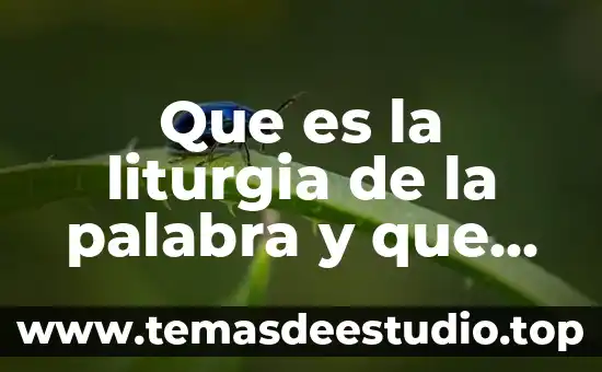 Que es el significado de la palabra panacea 7 Que es la liturgia de la palabra y que comprende