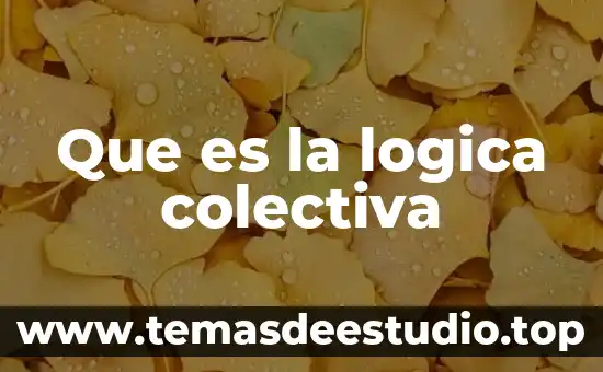 Que es la logica colectiva