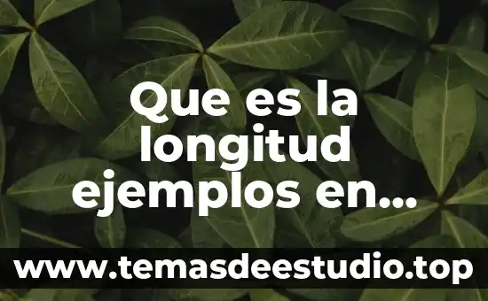 Como explicarle a un niño que es la longitud 4 Que es la longitud ejemplos en mapas