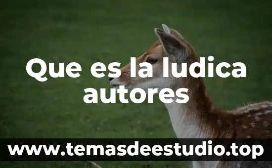 Que es una encuesta concepto de autores 6 Que es la ludica autores