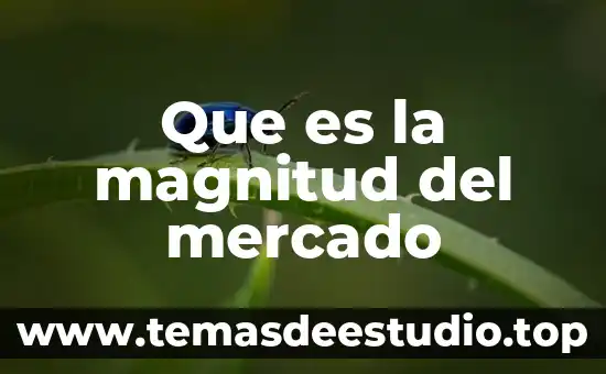 Que es escasez existente en un mercado 3 Que es la magnitud del mercado