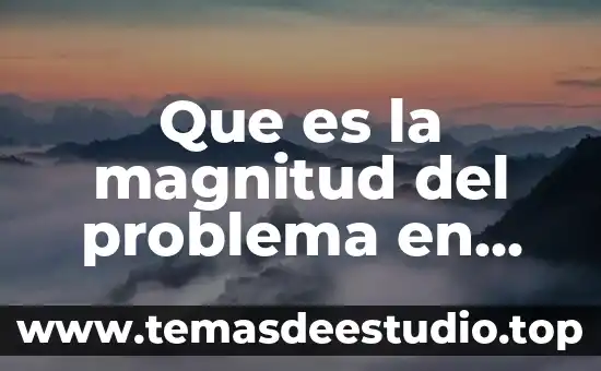 Que es citar una investigacion 8 Que es la magnitud del problema en una investigacion
