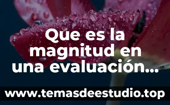 Que es estilo de crianza ambiental 5 Que es la magnitud en una evaluación de impacto ambiental
