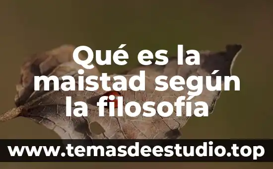 Que es icono segun umberto eco 8 Qué es la maistad según la filosofía