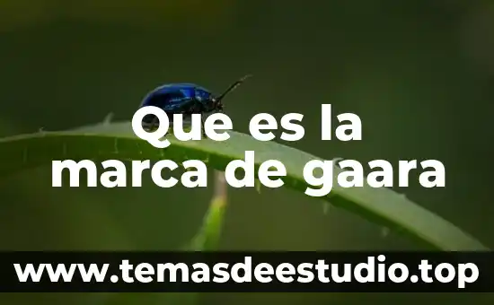 Que es la marca de gaara