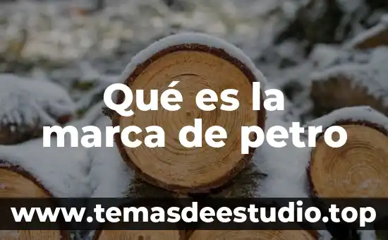 Qué es una cuenta de marca Google 8 Qué es la marca de petro