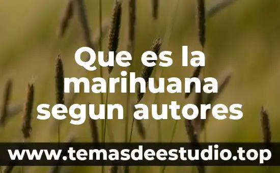 Qué es venta o traspaso de un negocio 3 Que es la marihuana segun autores