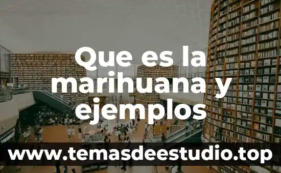 Que es la similitud identidad y homología geneticas ejemplos 8 Que es la marihuana y ejemplos