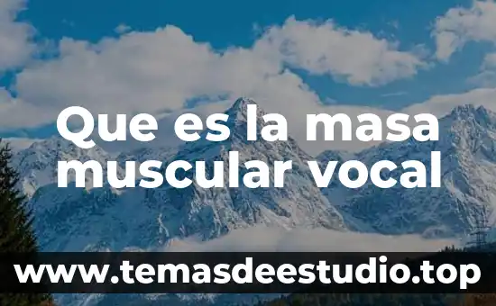 Definición de autores de lo que es resistencia muscular 7 Que es la masa muscular vocal