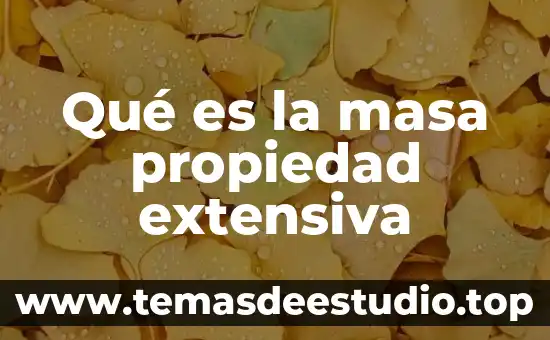 Qué es la masa propiedad extensiva