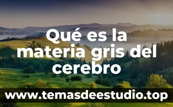 Que es mejor refrigeradores color negro o gris 6 Qué es la materia gris del cerebro