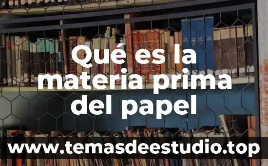 Qué es materia prima comestible 8 Qué es la materia prima del papel
