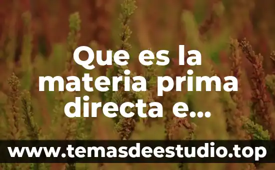 Inyección indirecta que es su funcion y significado 8 Que es la materia prima directa e indirecta en contabilidad