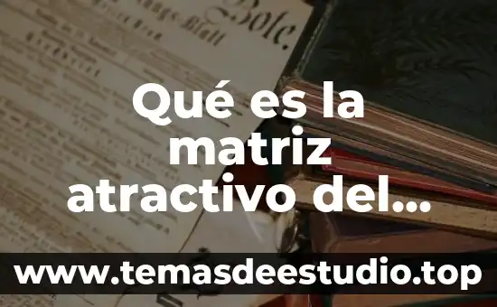 Qué es la matriz atractivo del mercado