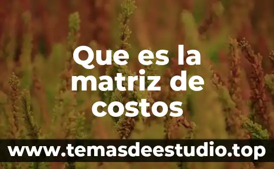 Que es la determinacion de costos 5 Que es la matriz de costos