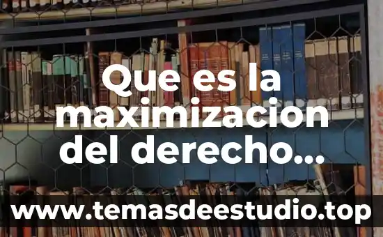 Que es la maximizacion del derecho penal