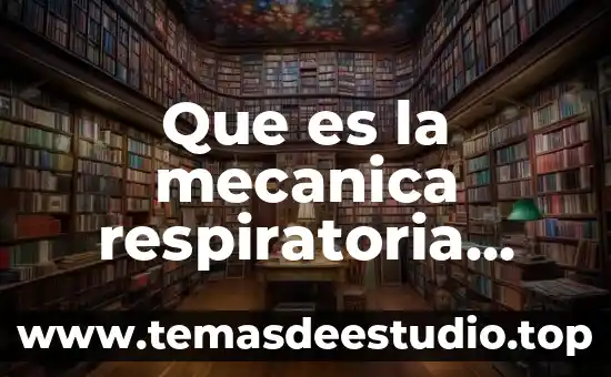 Revista como ves que es el amor reseña 5 Que es la mecanica respiratoria revista de medicina