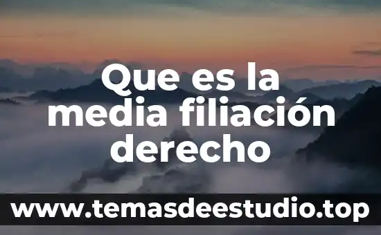 Que es la media filiación derecho