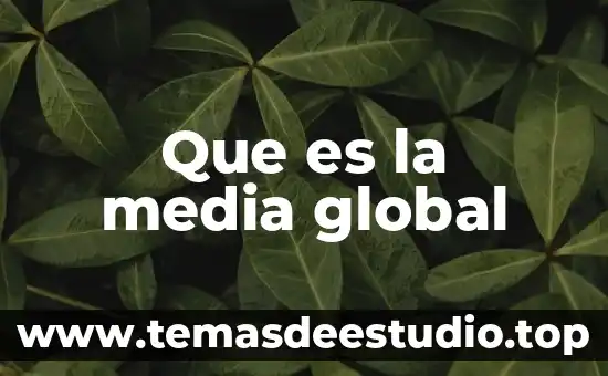 Que es la media global