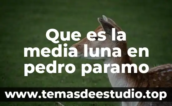 Que es el solo la luna y las estrellas 8 Que es la media luna en pedro paramo