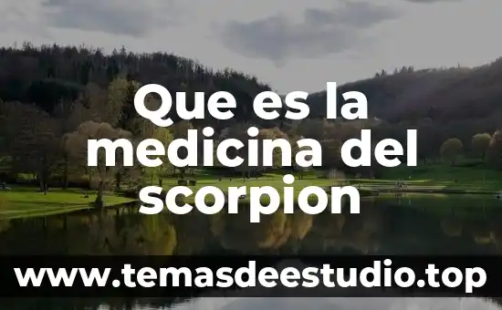 Que es la medicina del scorpion