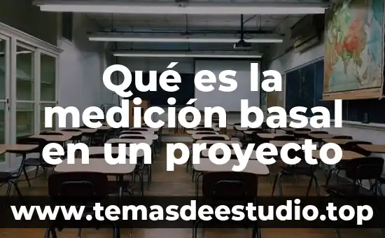 Qué es sociedad tradicional de México 6 Qué es la medición basal en un proyecto