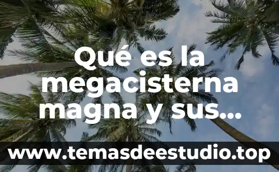 Qué es la megacisterna magna y sus características