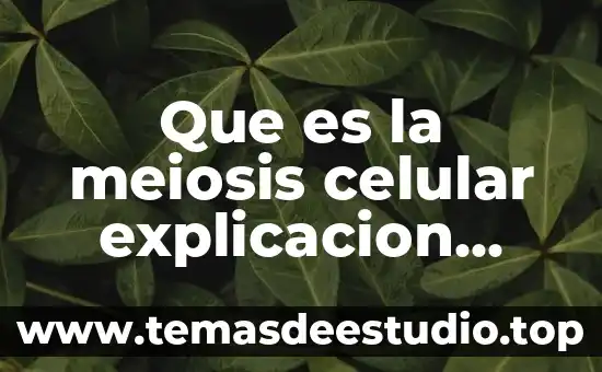 Que es la moral en los estudiantes 6 Que es la meiosis celular explicacion para estudiantes de secundaria
