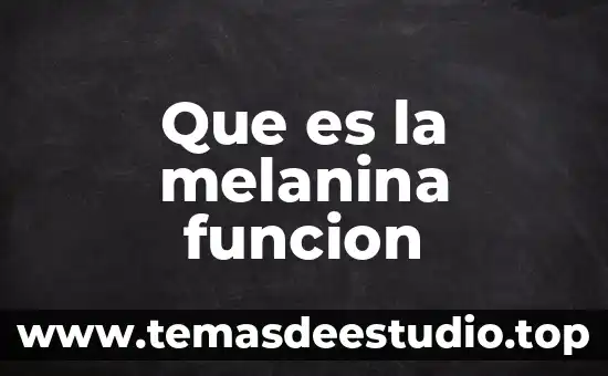Que es un texto argumentativo y su funcion 7 Que es la melanina funcion