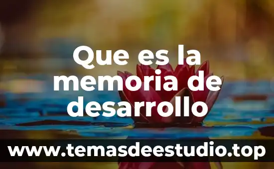 Que es creencias e identidad desarrollo humano 8 Que es la memoria de desarrollo