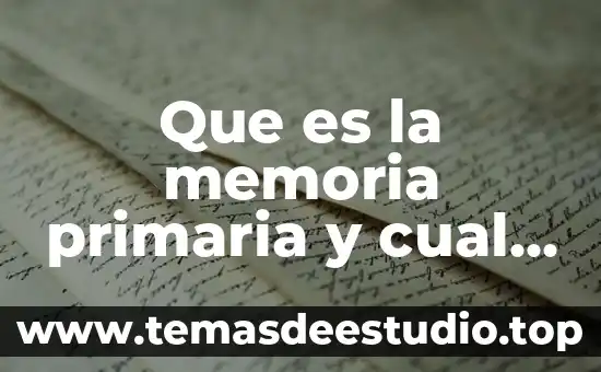 Que es la memoria primaria y cual es su funcion