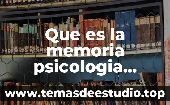 Que es la memoria psicologia cuales son