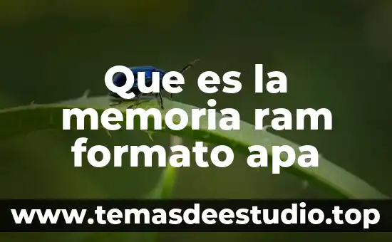 Que es el arte formato apa itesm 5 Que es la memoria ram formato apa