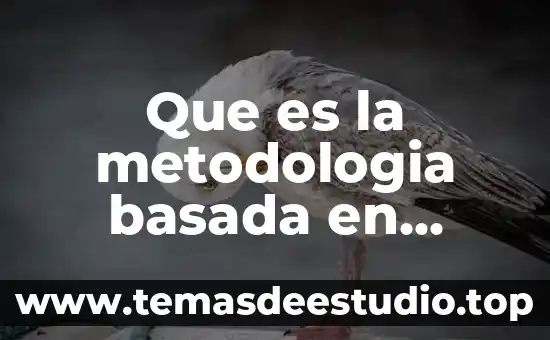 Que es la metodologia basada en problemas
