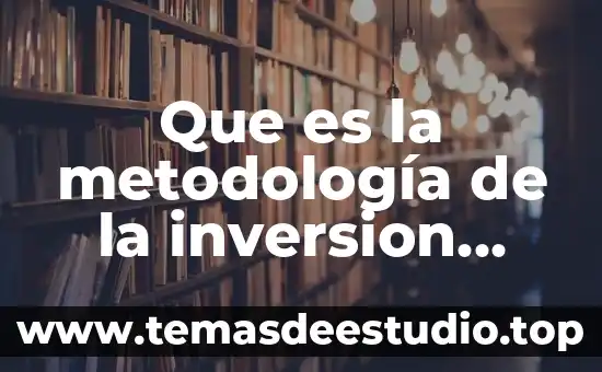 Que es la metodología de la inversion redalyc definición