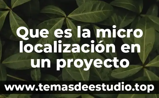 Que es localizacion y diseño de planta 8 Que es la micro localización en un proyecto